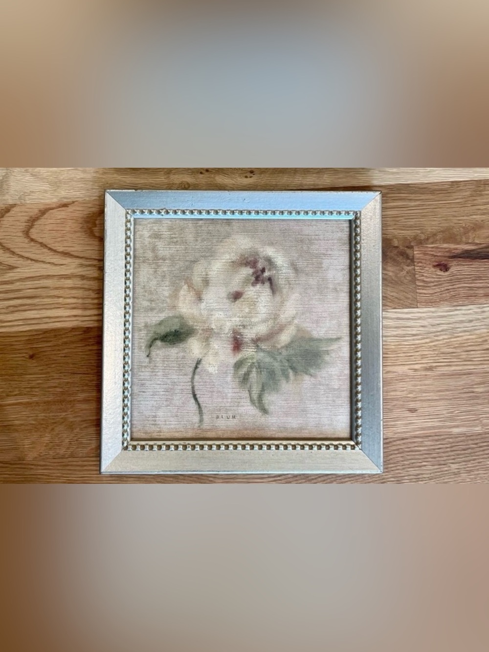 Soft White Peony Wall Art Print with Green Leaves